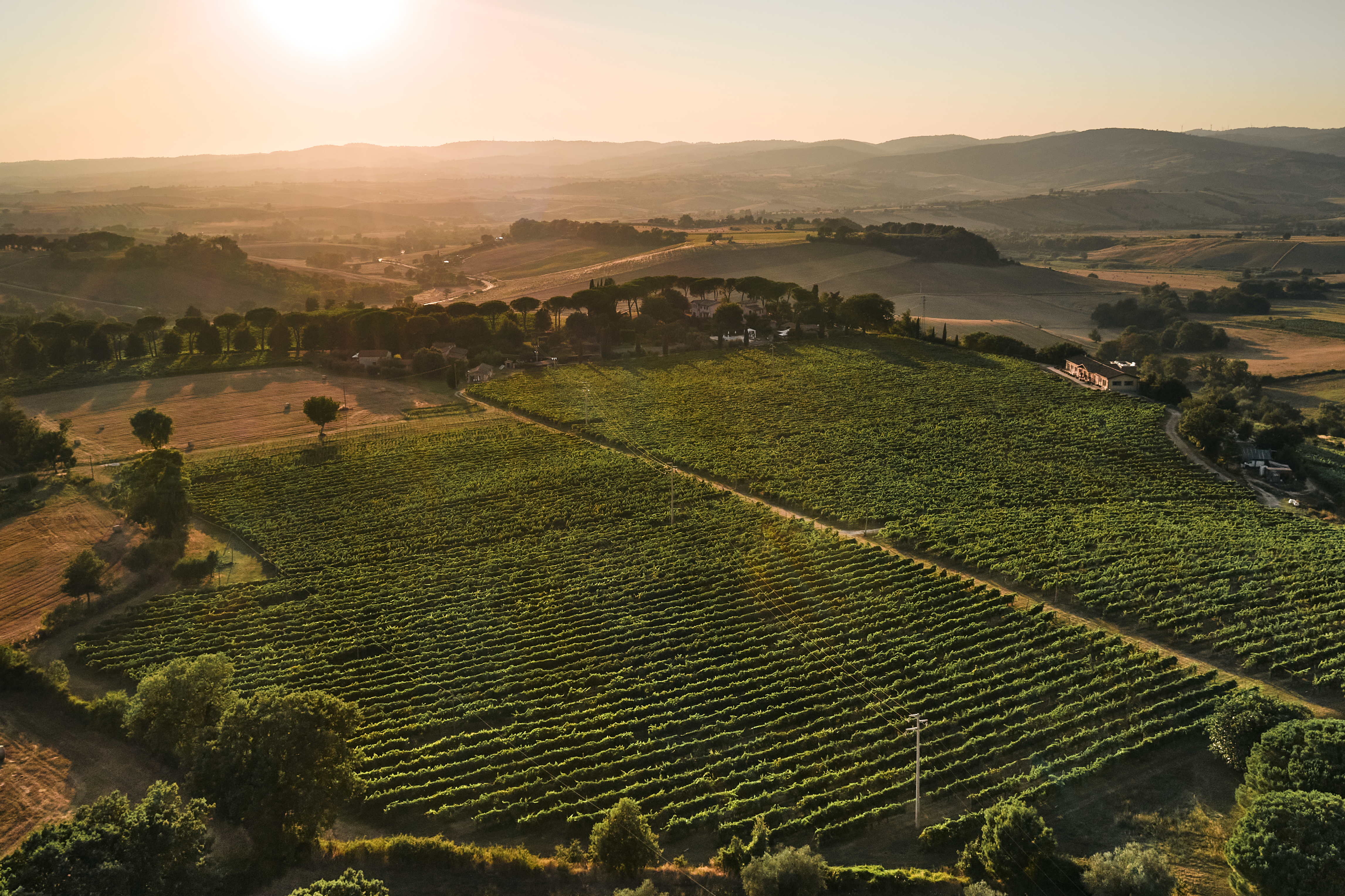 Fattoria Villa Acquaviva vigneti Saturnia Cantine Aperte 2026