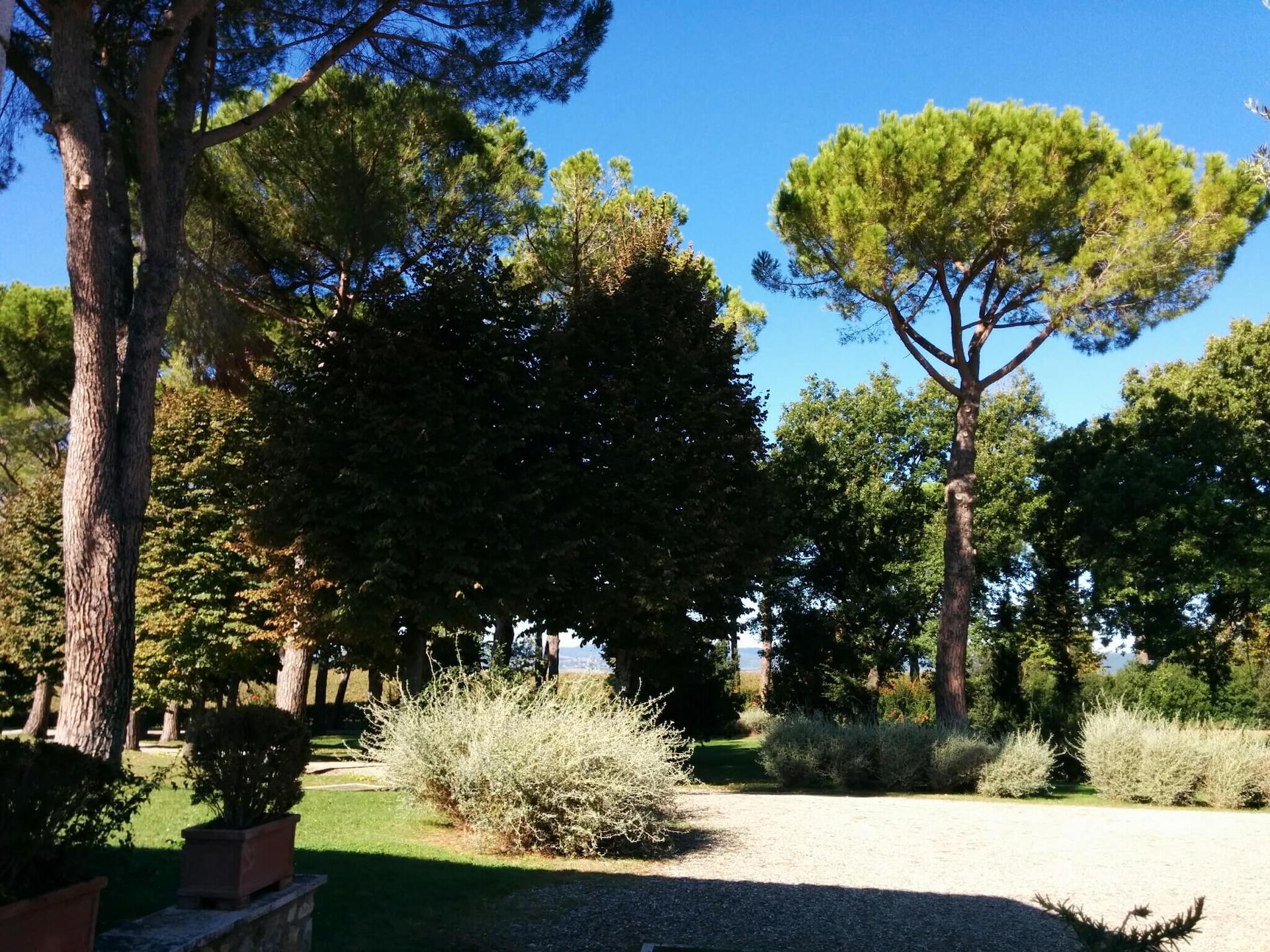 Villa Acquaviva vista da un bambino