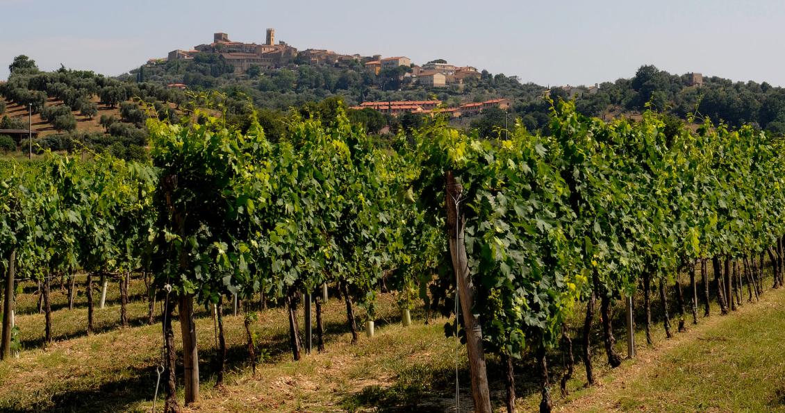 Settembre diVino in Maremma