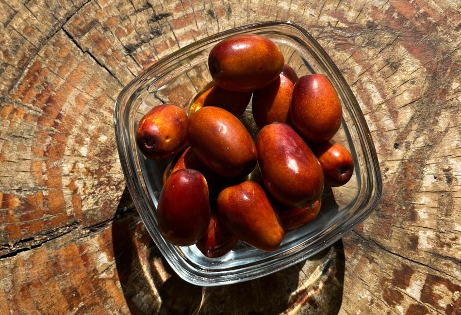 il colore delle giuggiole